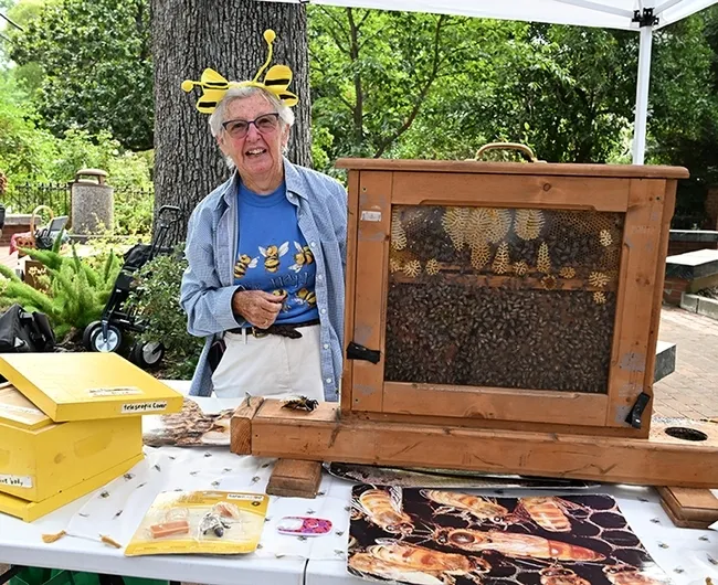 Ettamarie Peterson, known as the "Queen Bee of Sonoma County," gets ready to greet visitors at the Vacaville Museum Guild's Children's Party, an annual event held every August in the museum courtyard. (Photo by Kathy Keatley Garvey)