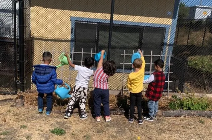 SchoolGardens-01