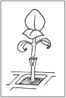 Picture5