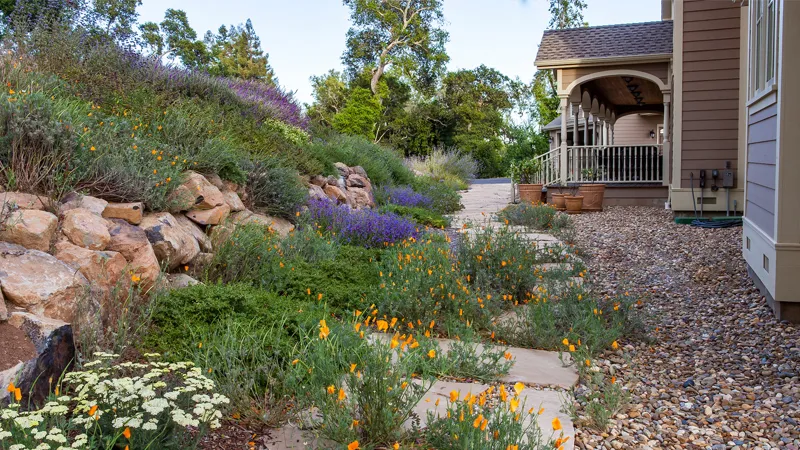 Zone1 Plantings