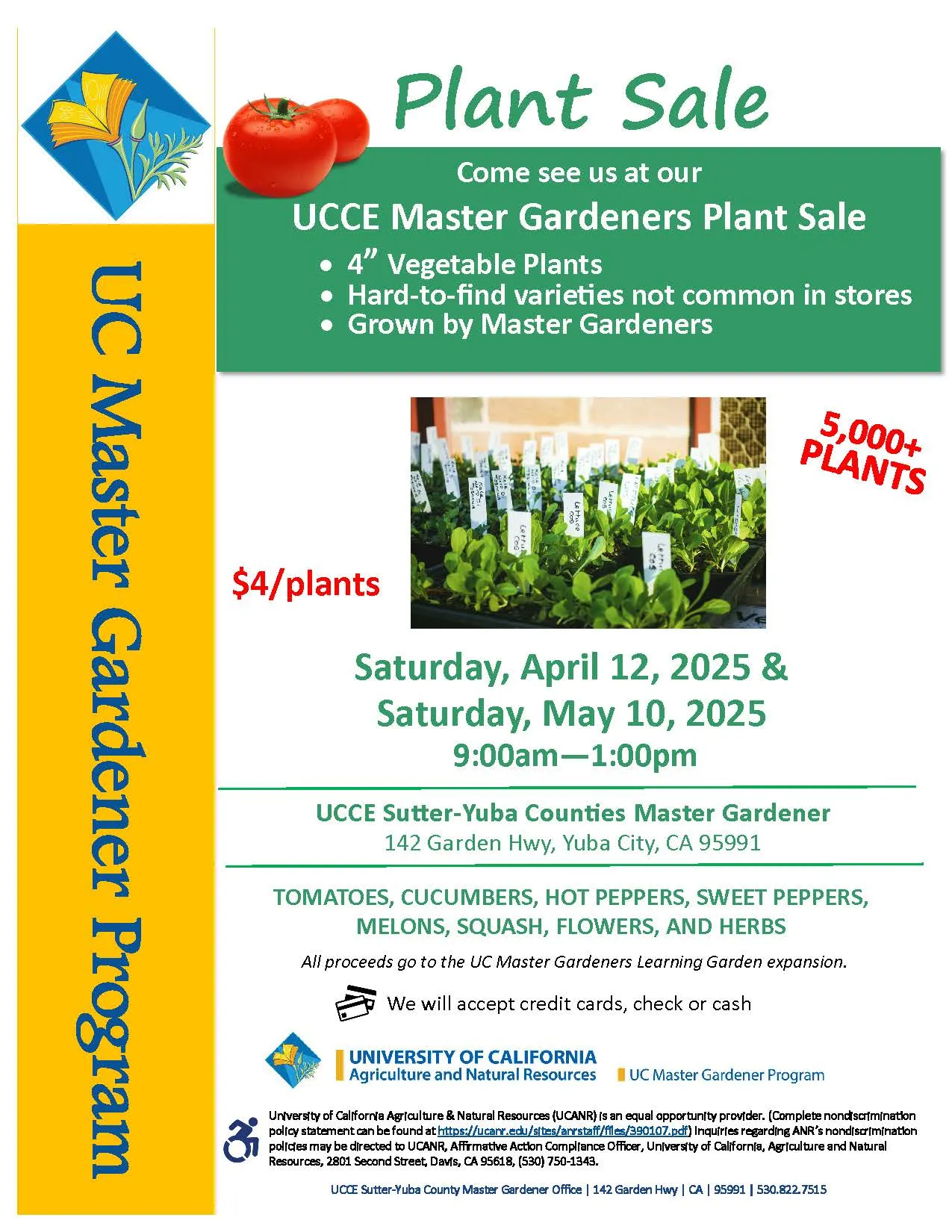 Tomato Plant Sale Flyer 2025