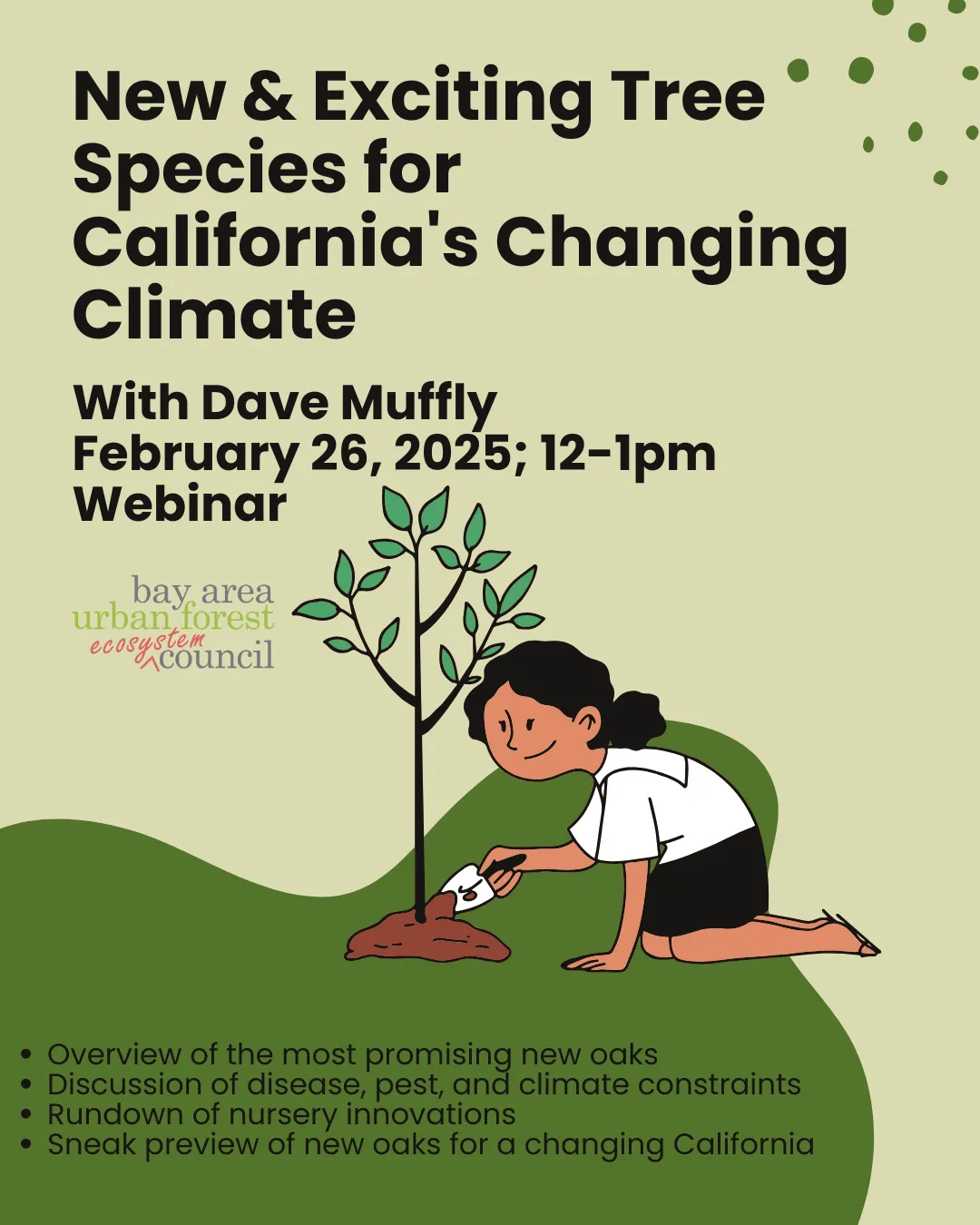 New & Exciting Tree Species for California's Changing Climate (v3)