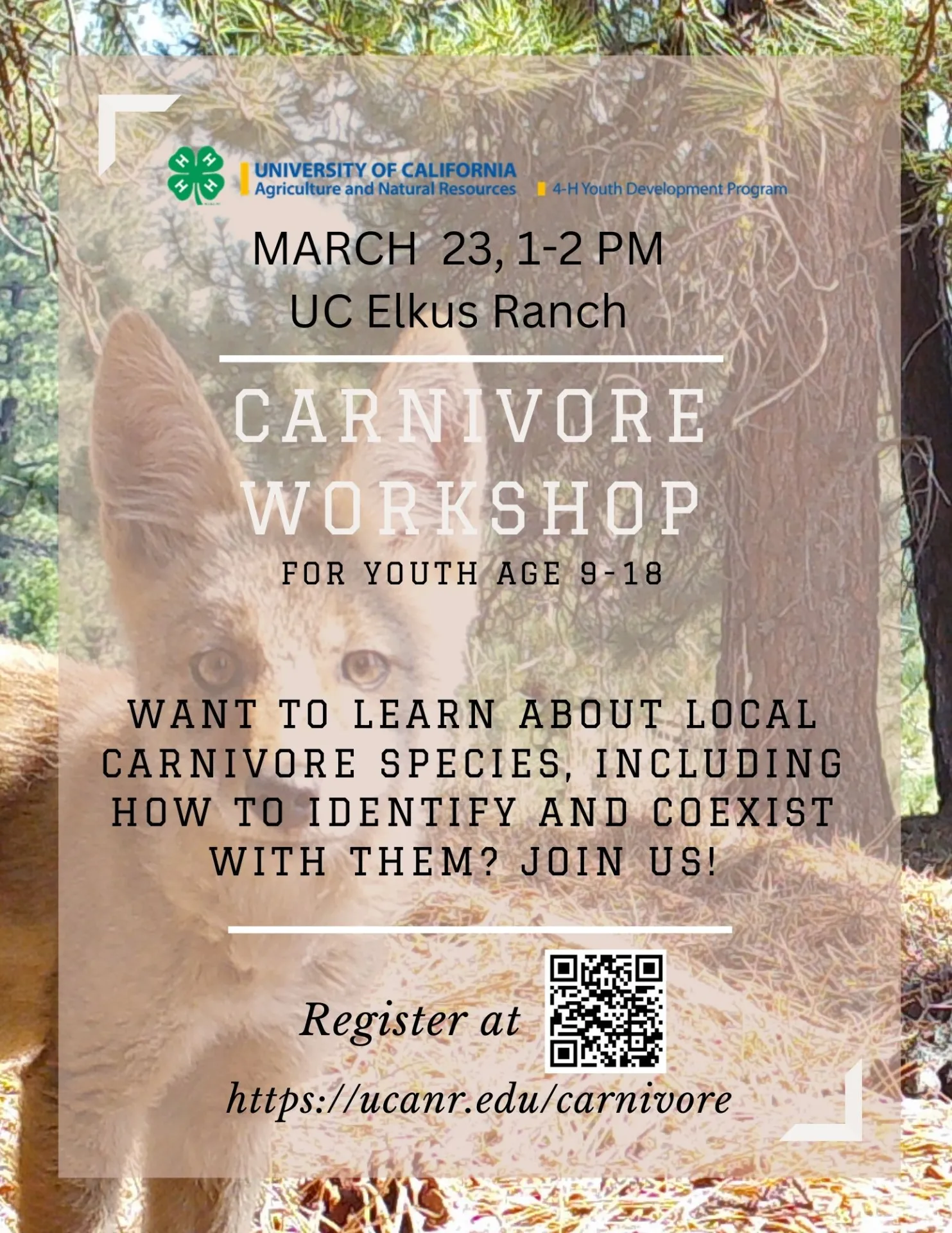 CarnivoreWorkshopFlyer