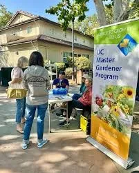 MG farmers market