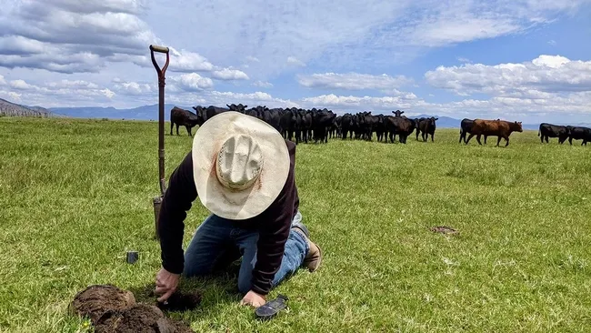 Un ganadero revisando el suelo de sus terrenos.