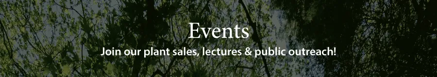 Ask Us Events