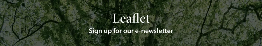 Ask Us Leaflet