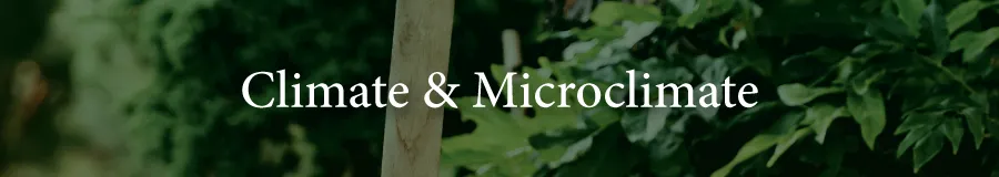 Basic Climate micro