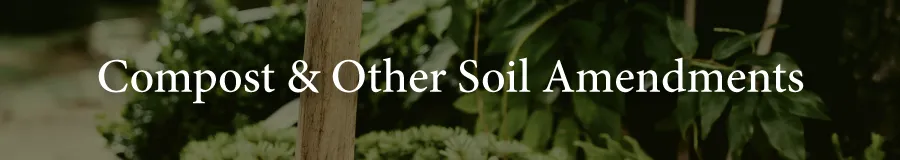 Basic Compost