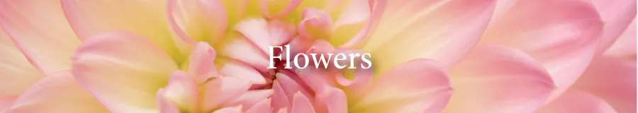 Button flowers