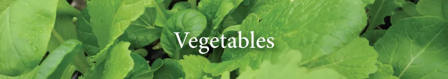 Button Vegetables