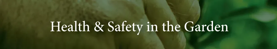 Health and safety