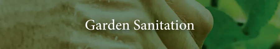sanitation