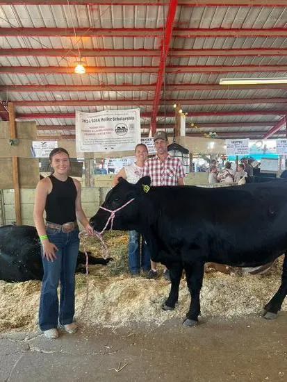 Cattle Scholarship picture