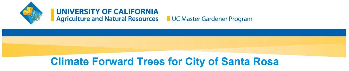 UC Master Gardener list of climate adapted trees for Santa Rosa
