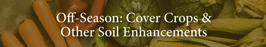 Edibles Cover crops