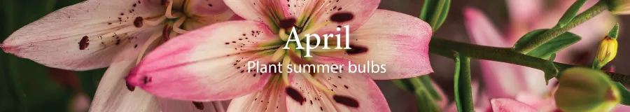 April