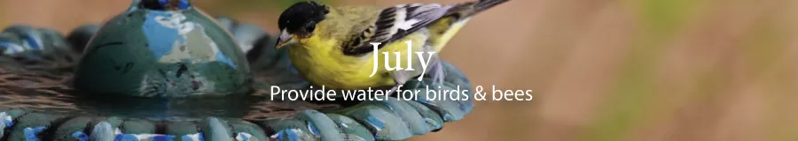 July