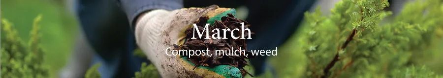 March