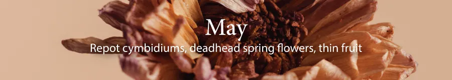 May