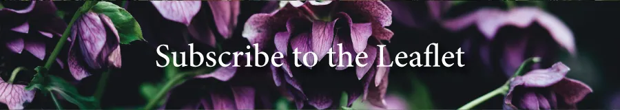 Subscribe Leaflet