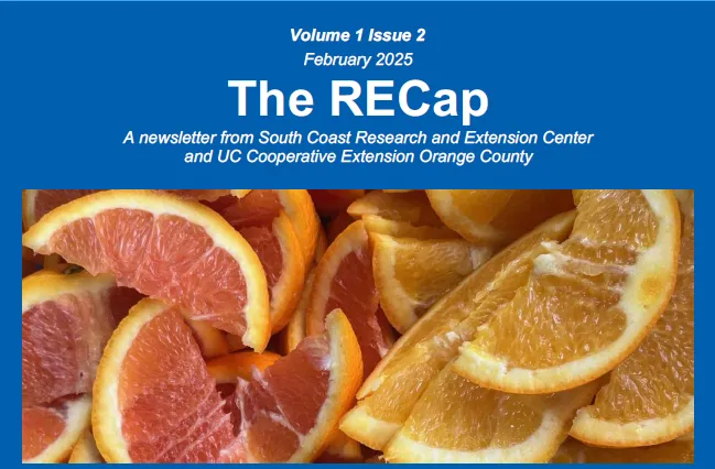 header of the February 2025 issue of The RECap