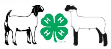 Sheep and Goat Logo