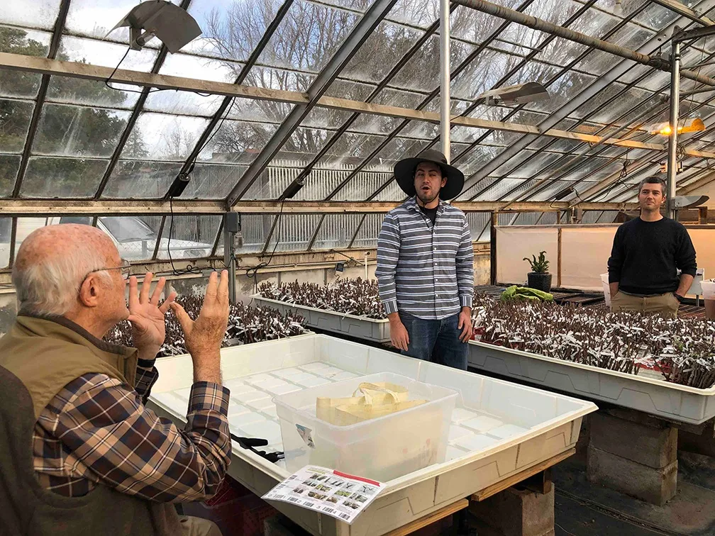 Stiefvater's visit on Feb. 12 included a stop at Patrick J. Brown's Genetics and Applied Breeding of California Tree Cops lab and greenhouse