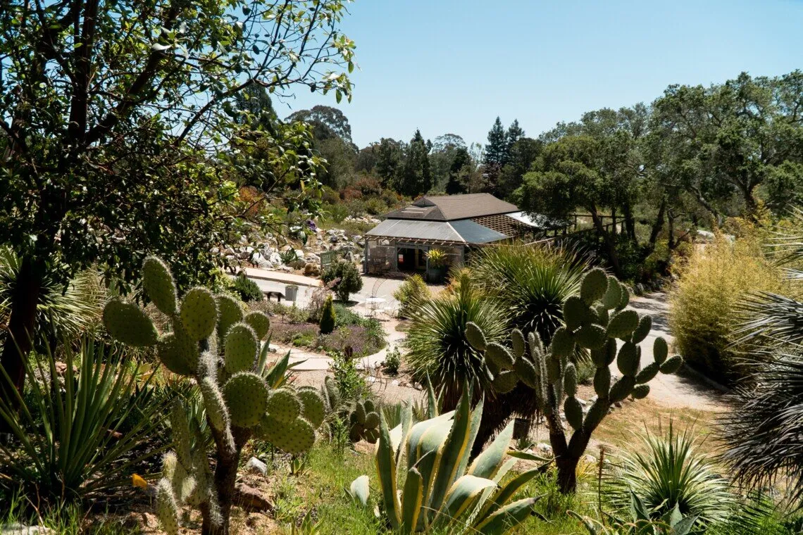 UCSC arboretum