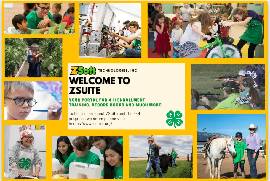home page for Z-suite log in