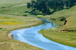 meandering creek