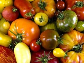 tomatoes