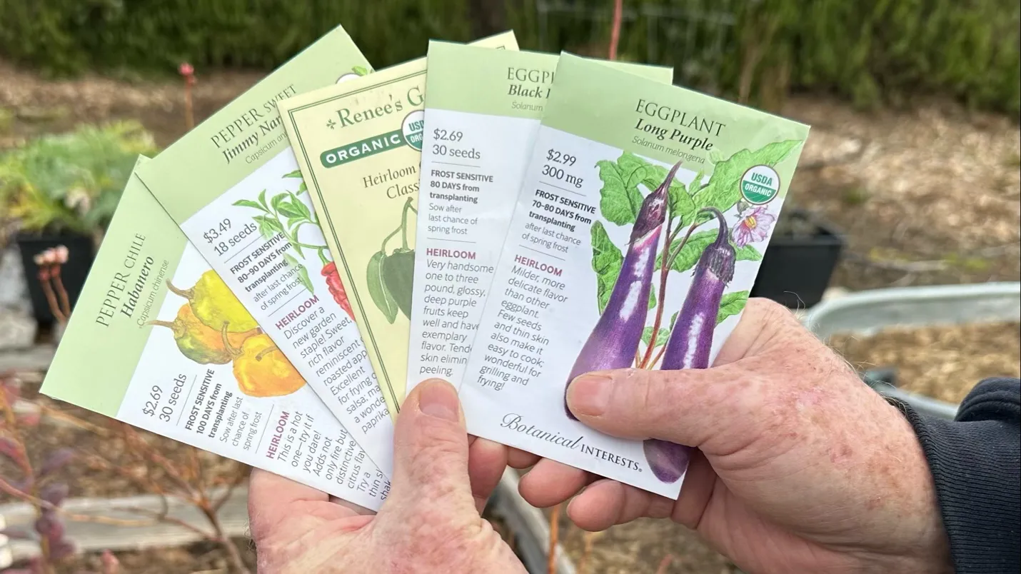 Seed packets