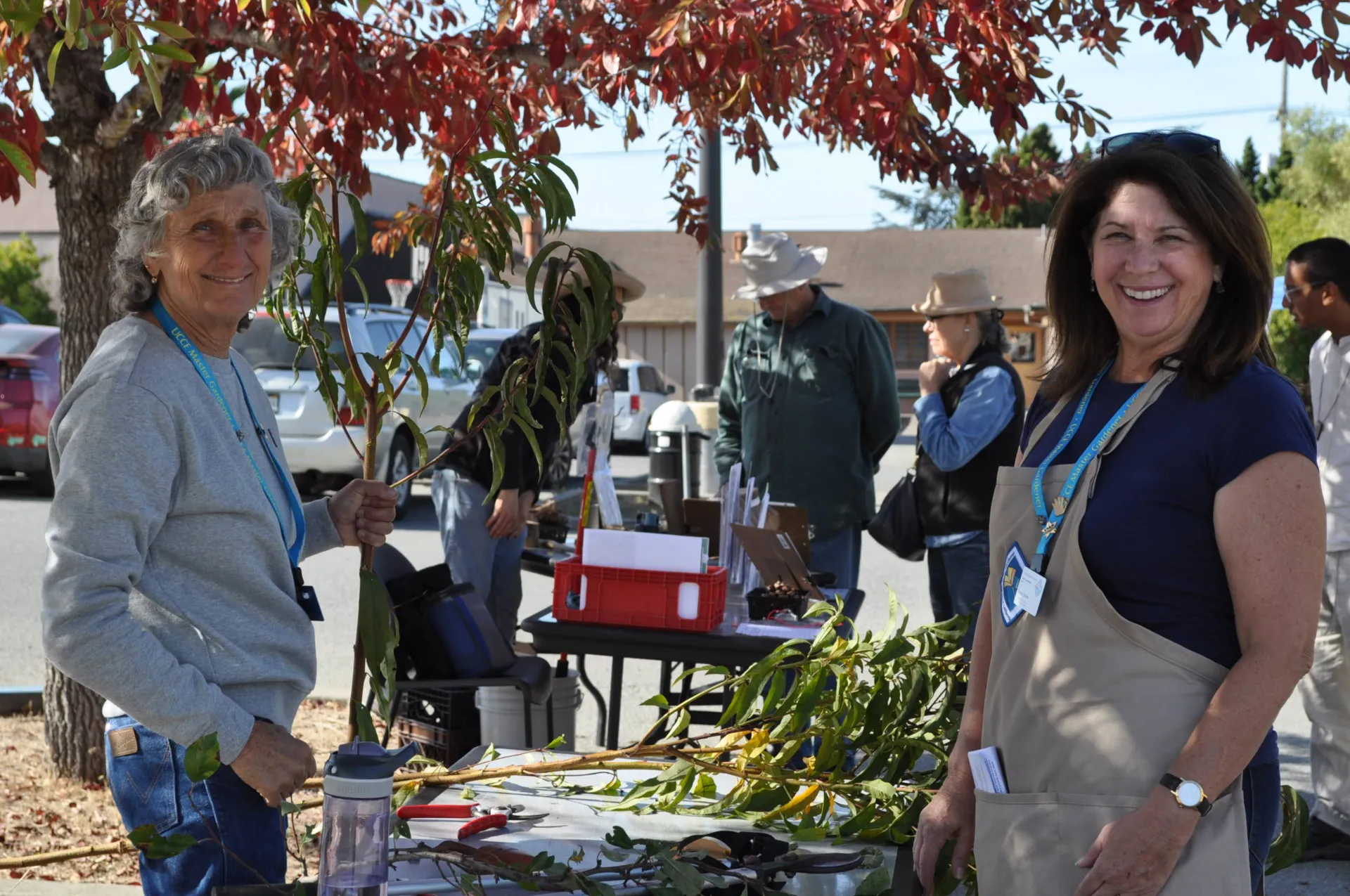 Join the Master Gardener Program