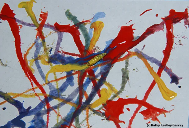 Maggot art. A maggot crawling on paper.