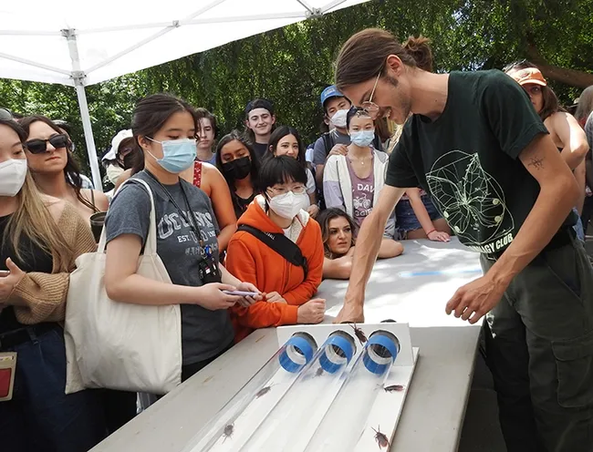 Roaches racing at UC Davis Picnic Day.