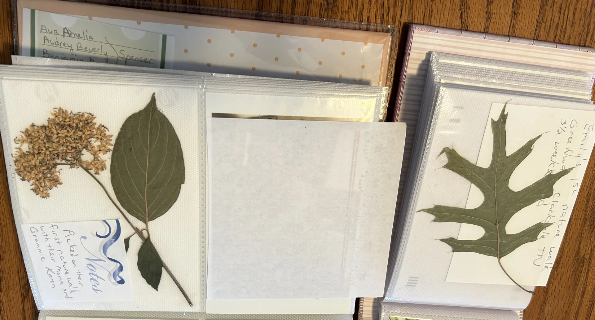 pressed leaves on pages as mementos