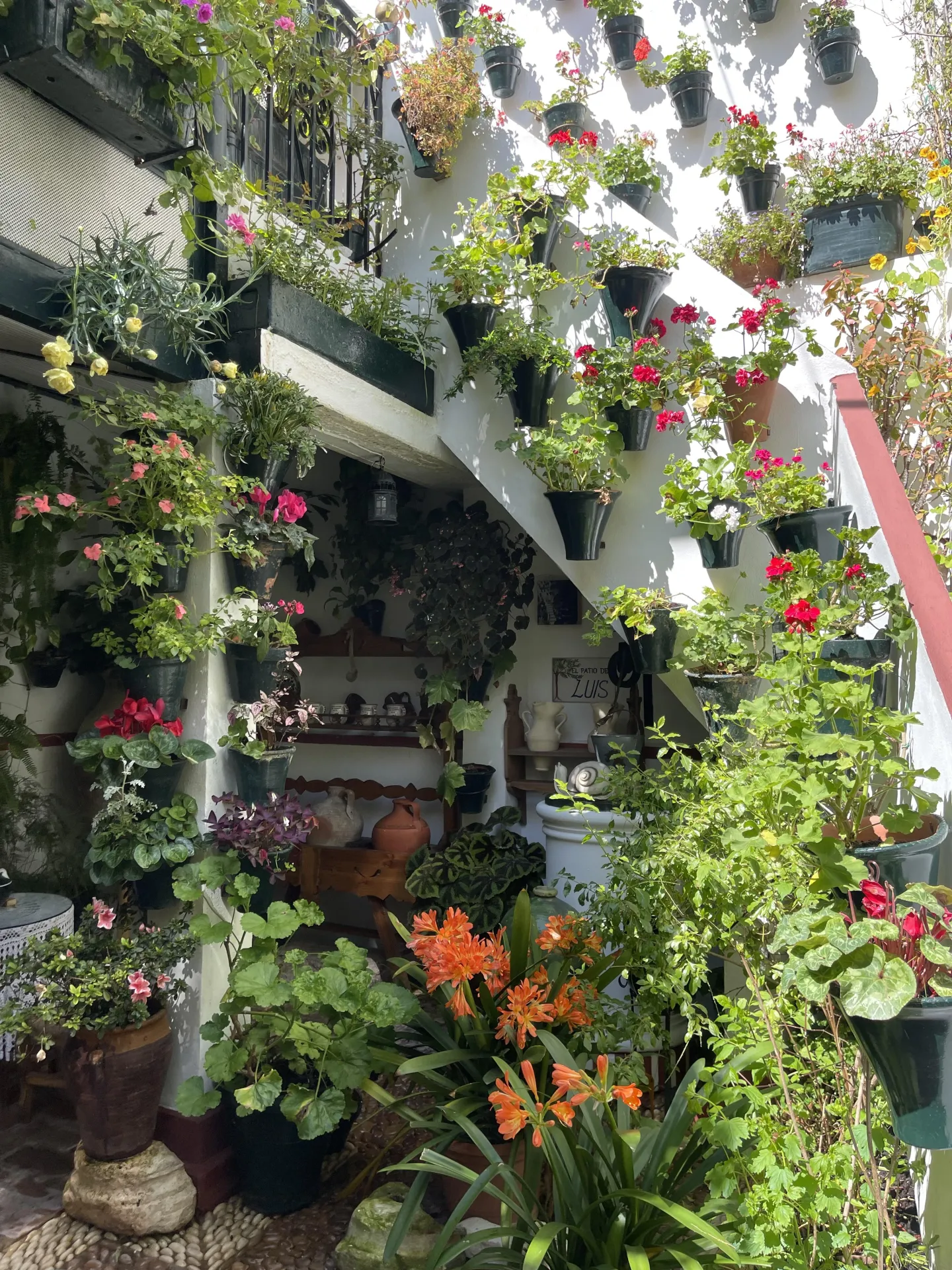 garden with pots affixed to walls, lots of greenery