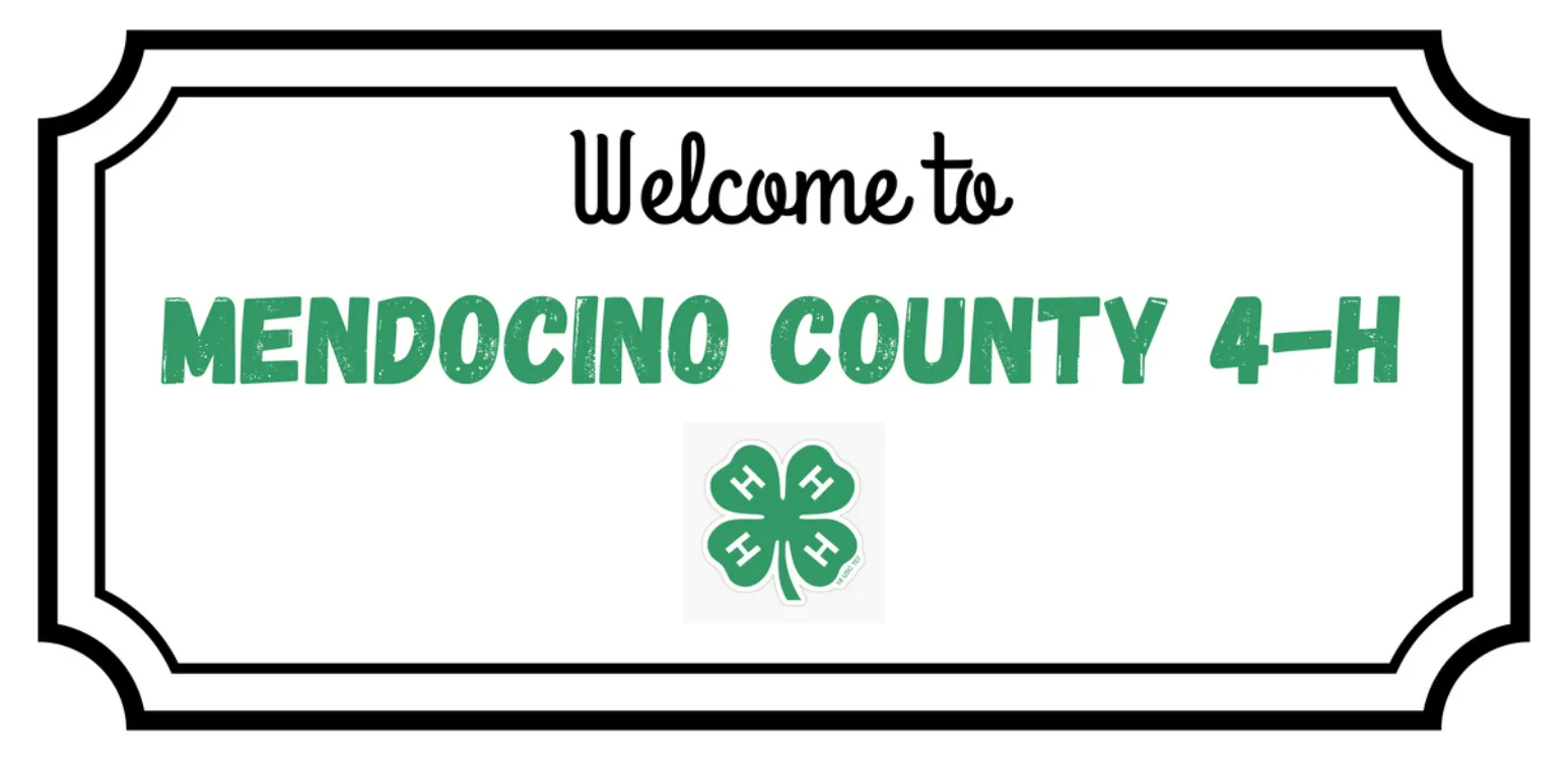 Welcome to 4-H!