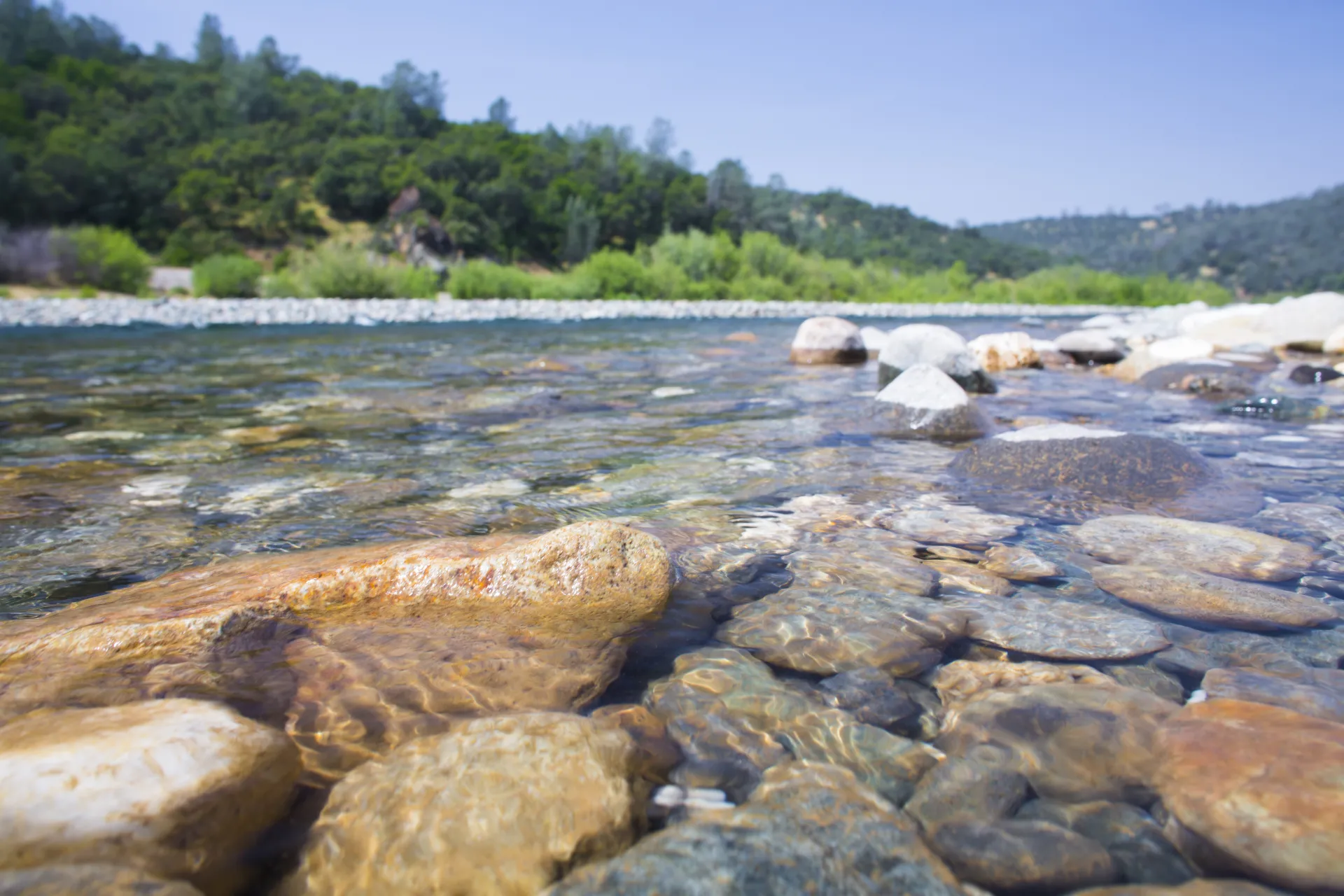 Water in a stream flows over river rocks with forest in background