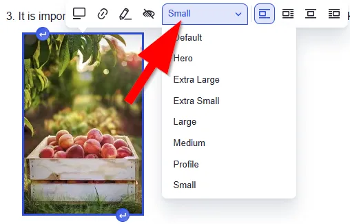 image dimensions