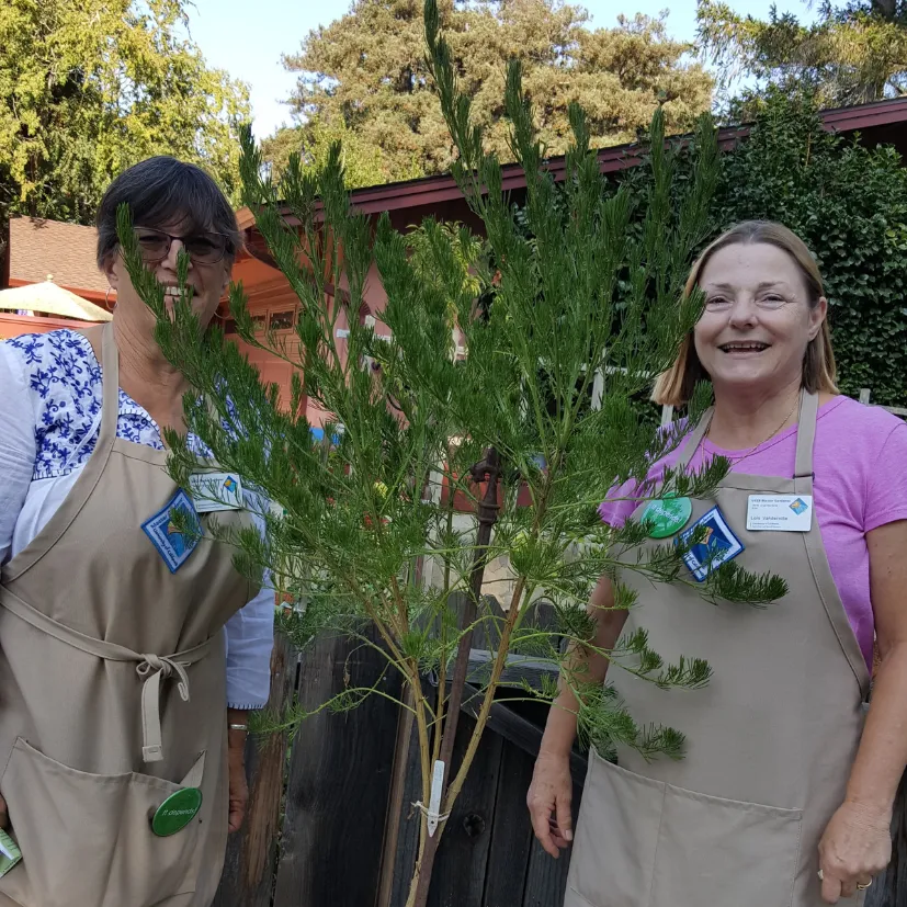 Master Gardeners with a small tree