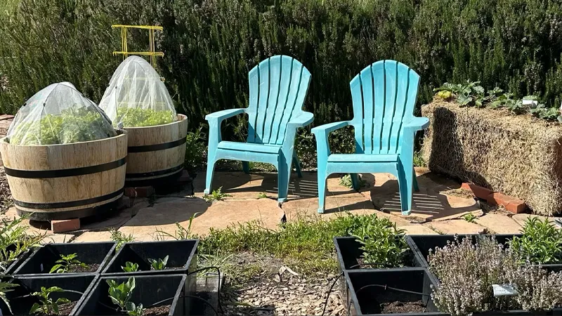 Patio gardening