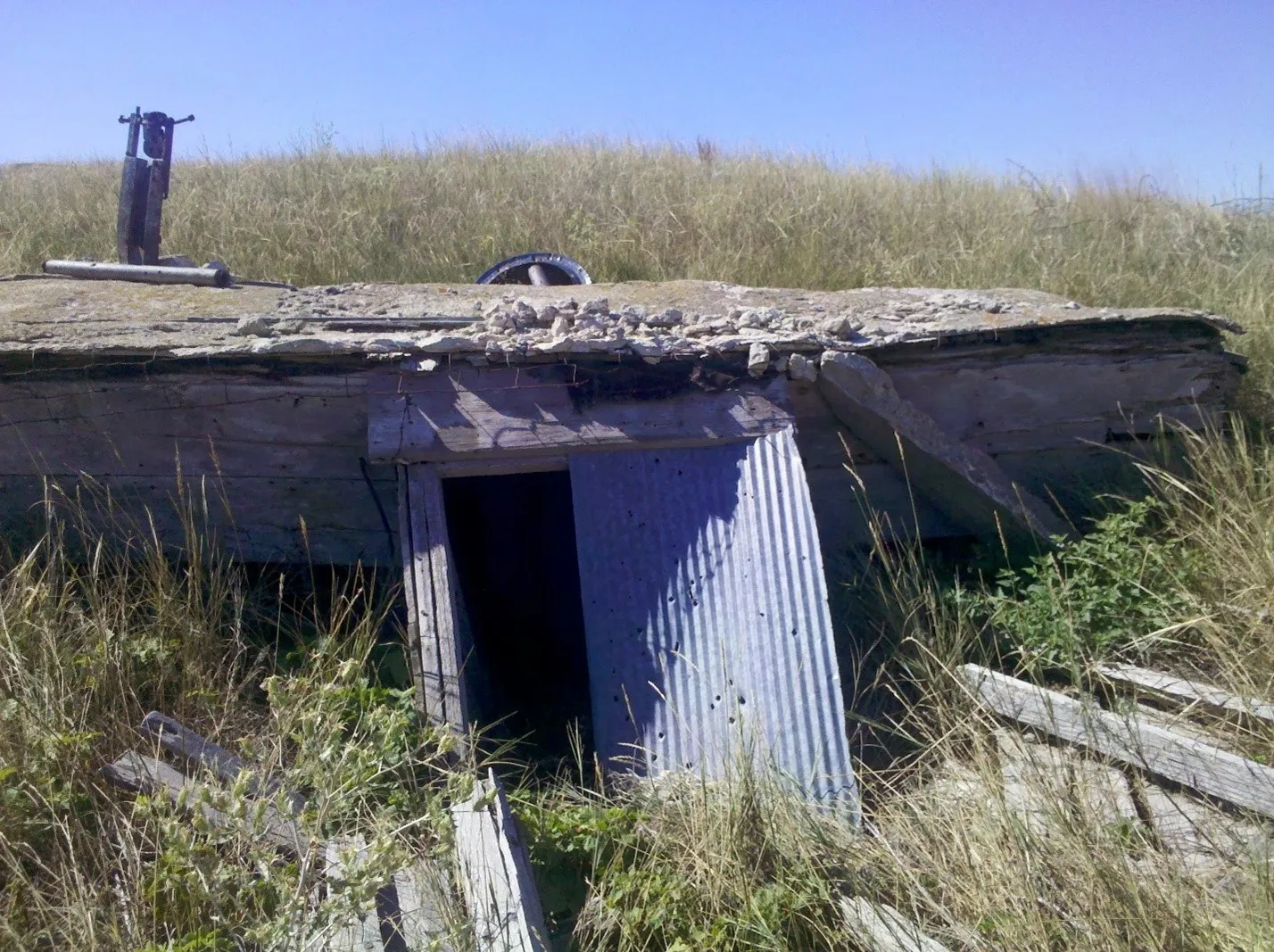 Root cellar PP