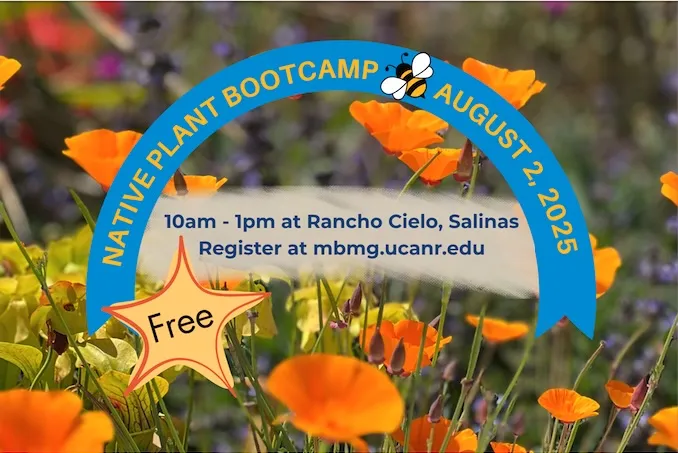 Image with banner and info about Boot Camp 