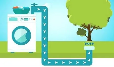 An illustration of how graywater from a washing machine can be used to water your landscape trees