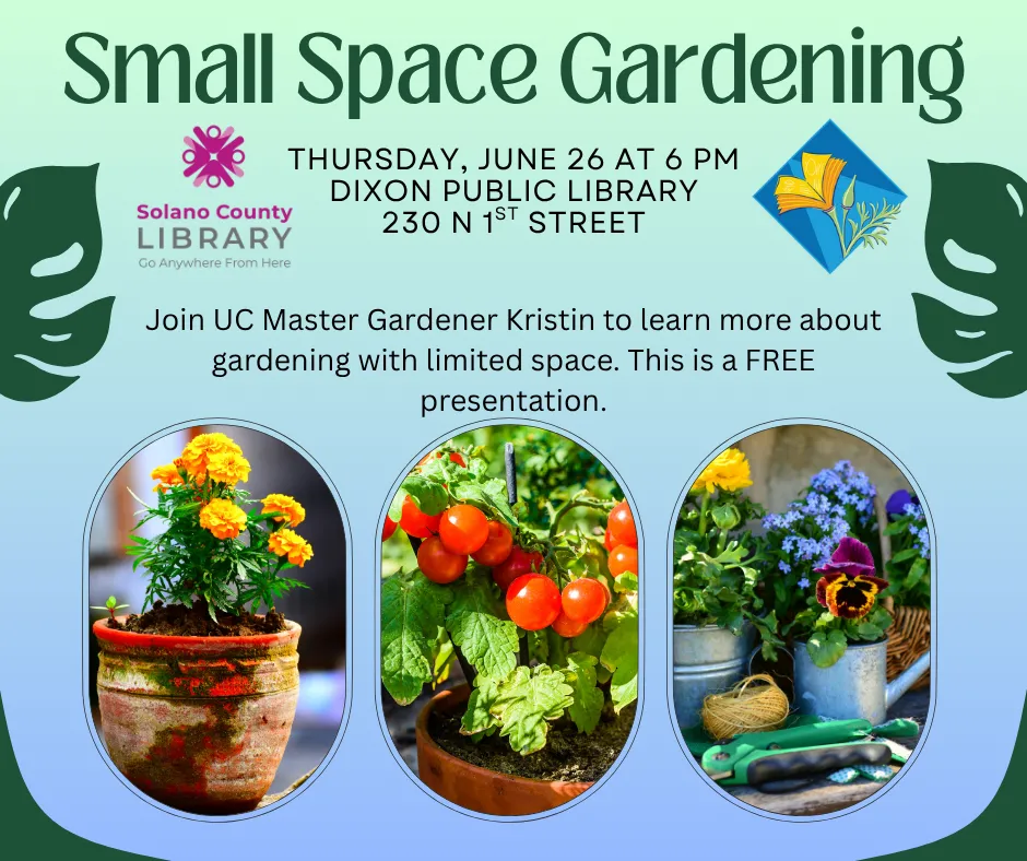 flyer for small space gardening event