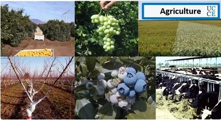 UCCE Ag