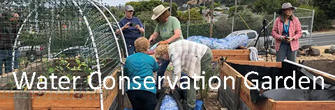 Water Conservation Garden card