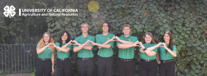State Ambassadors